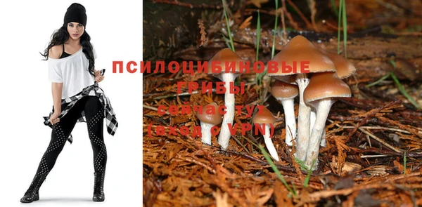 молекула духа Алексин