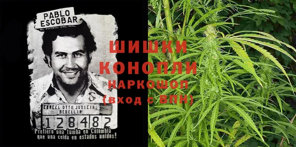 молекула духа Алексин