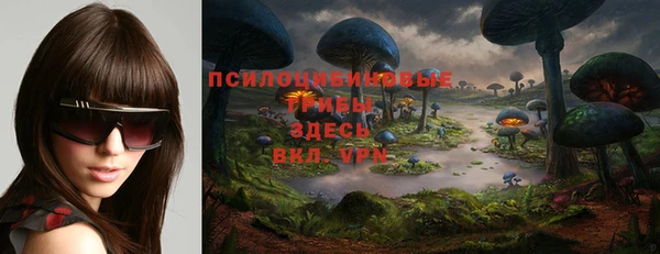 молекула духа Алексин