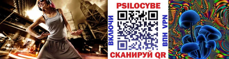 Купить  Якутск  Галлюциногенные грибы Cubensis 
